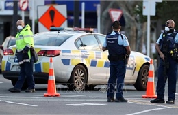 New Zealand sơ tán người dân do hóa chất lạ tràn vào cống thoát nước