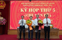 Ông Lương Tuấn Hùng được bầu làm Phó Chủ tịch UBND tỉnh Cao Bằng