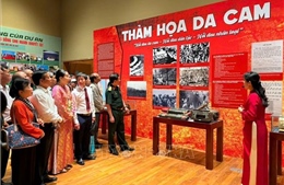 Giới thiệu hơn 400 tư liệu, hiện vật tại Triển lãm 'Da cam - Lương tri và Công lý' 