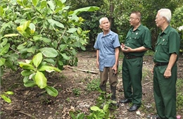Tỏa sáng phẩm chất cao đẹp của Bộ đội Cụ Hồ trong thời bình