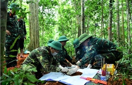 Tăng tốc hành trình trả lại tên cho các liệt sĩ