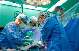 Cô gái hiến tạng hồi sinh nhiều cuộc đời