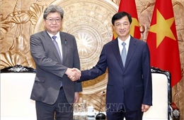 Trưởng Ban Tổ chức Trung ương Nguyễn Duy Ngọc tiếp Quyền Tổng Thư ký Đảng Dân chủ Tự do Nhật Bản Hagiuda Koichi