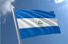 Điện mừng kỷ niệm 65 năm ngày thành lập Đảng Mặt trận Giải phóng Dân tộc Sandino Nicaragua