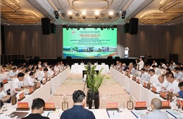 Làm nổi bật giá trị toàn cầu khu Cảnh quan văn hóa - sinh thái Voọc mông trắng