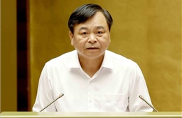 Tăng quyền chủ động cho địa phương trong thực hiện nhiệm vụ nông nghiệp và môi trường