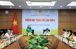 Xem xét trình tự đưa người từ đủ 12 đến dưới 18 tuổi đi cai nghiện bắt buộc