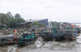 Các địa phương ven biển Quảng Ninh khẩn trương ứng phó bão số 1