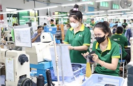 Các nguồn lực hỗ trợ doanh nghiệp, hộ kinh doanh thuộc Hệ sinh thái tận dụng các FTA