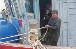 Thanh Hóa: Kêu gọi tàu thuyền về nơi tránh trú bão, bảo đảm an toàn đê điều