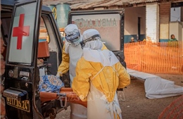 Dịch Ebola: Mỹ tăng viện trợ ngăn tình hình diễn biến nghiêm trọng
