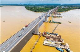 Điểm tin kinh tế Việt Nam nổi bật ngày 7/8/2026