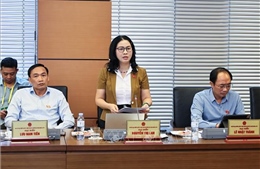 Cắt giảm thủ tục nhưng không cắt giảm trách nhiệm quản lý