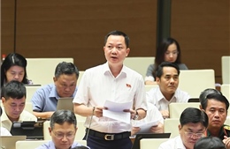 Phân quyền thực chất để đô thị chủ động phát triển