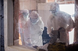 Nhân viên cứu trợ nhân đạo tại vùng dịch Ebola bị tấn công