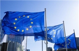 Iceland trưng cầu dân ý về việc nối lại đàm phán gia nhập EU