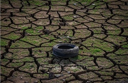 El Nino có biên độ dao động rộng hơn so với 1.000 năm trước