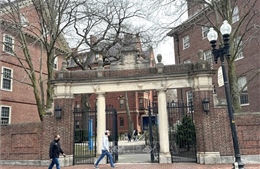 Tòa án Mỹ bác đơn kiện của chính quyền đối với Đại học Harvard