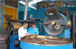 Tạo thêm cơ hội để thanh niên khởi nghiệp, làm giàu chính đáng