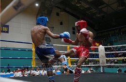 Hơn 400 vận động viên tranh tài tại Giải vô địch Kickboxing các nhóm tuổi Quốc gia 2026