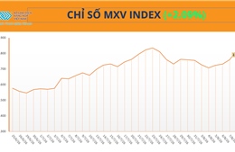 MXV-Index tăng phiên thứ 5 liên tiếp, vượt mốc 2.800 điểm