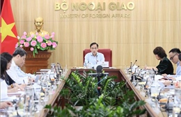Bộ trưởng Ngoại giao Lê Hoài Trung chủ trì rà soát, đôn đốc việc thực hiện các cam kết, thỏa thuận quốc tế 