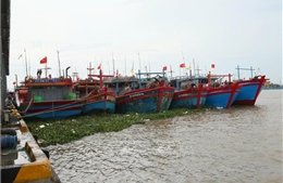 Ninh Bình: Tạm dừng hoạt động tại một số khu, điểm du lịch do bão số 4
