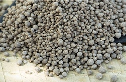 Dự án khai thác phốt phát đáy biển đầu tiên trên thế giới