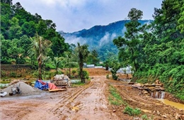 Thông tin mới nhất về xử lý sai phạm đất rừng phòng hộ Sóc Sơn
