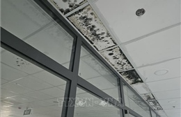 Khắc phục tình trạng thấm, dột tại dự án nâng cấp Bệnh viện Đa khoa Đắk Nông 