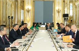 Tổng Bí thư, Chủ tịch nước Tô Lâm hội đàm với Tổng thống Pháp Emmanuel Macron