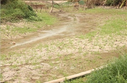 El Nino đạt cường độ mạnh đến rất mạnh - cần kịp thời ứng phó