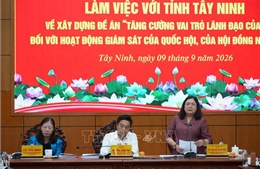 Nâng cao hiệu quả giám sát Quốc hội, Hội đồng nhân dân
