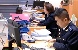 Điểm tin kinh tế Việt Nam nổi bật ngày 3/9/2026