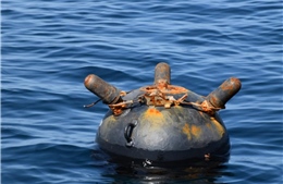 Nhiều nước NATO phát tín hiệu sẵn sàng can dự vì an toàn ở eo biển Hormuz