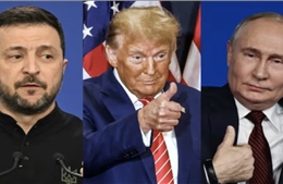 Tổng thống Trump: Mỹ - Nga nhất trí lập tức đàm phán kết thúc xung đột ở Ukraine