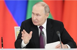 Tổng thống Putin ủng hộ lệnh ngừng bắn, nêu nguyên tắc cho bước tiếp theo giải quyết xung đột ở Ukraine