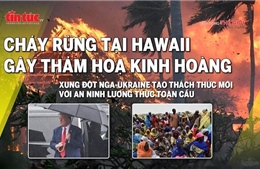 Tin tức TV: Cháy rừng ở Hawaii gây thảm hoạ kinh hoàng; xung đột tại Ukraine tạo thách thức mới với an ninh lương thực