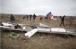 Moskva lên tiếng sau phán quyết Nga chịu trách nhiệm vụ máy bay MH17 bị bắn hạ