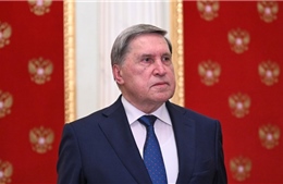 Trợ lý của Tổng thống Nga Vladimir Putin bình luận về ý tưởng trao trả Crimea cho Ukraine