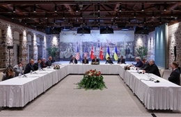 Liên bang Nga và Ukraine bắt đầu đàm phán hòa bình tại Istanbul, Thổ Nhĩ Kỳ