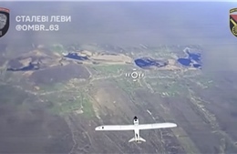 Tin tặc Ukraine gây náo loạn nhà cung cấp UAV quân sự hàng đầu của Liên bang Nga