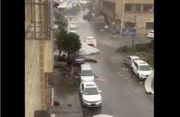 Video bão Wipha với gió giật mạnh và mưa như trút nước khi vào Quảng Đông, Trung Quốc