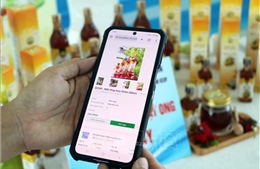 Số lượng đơn nước ngoài liên quan đến quyền sở hữu trí tuệ vào Việt Nam ngày càng tăng