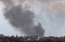 Chuyên gia quân sự: Nga chuẩn bị đợt tấn công lớn vào Donetsk trong mùa hè 2025