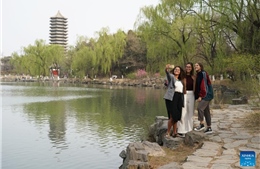 Lý do các đại học Trung Quốc thăng hạng toàn cầu, vượt mặt Mỹ