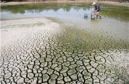 Miền Trung: Hàng nghìn ha canh tác nông nghiệp có thể thiếu nước do nắng nóng 