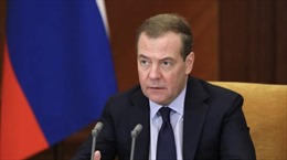Kiev muốn có thêm vũ khí; cựu Tổng thống Nga Medvedev kêu gọi phi quân sự hoá Ukraine