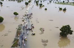 Nigeria: Hơn 600 người thiệt mạng và 1,3 triệu người mất nhà cửa vì lũ lụt