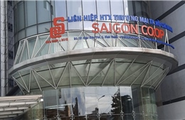 Hoàn tất kết luận điều tra bổ sung lần 3 vụ án Saigon Co.op